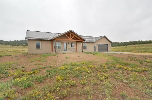 Westcliffe, CO 81252,1441 County Rd 310