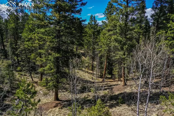 Florissant, CO 80816,360 Tejon Creek TRL