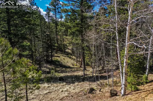 Florissant, CO 80816,360 Tejon Creek TRL