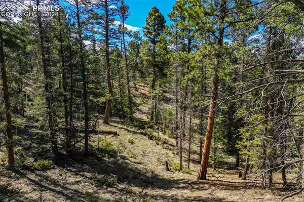 Florissant, CO 80816,360 Tejon Creek TRL