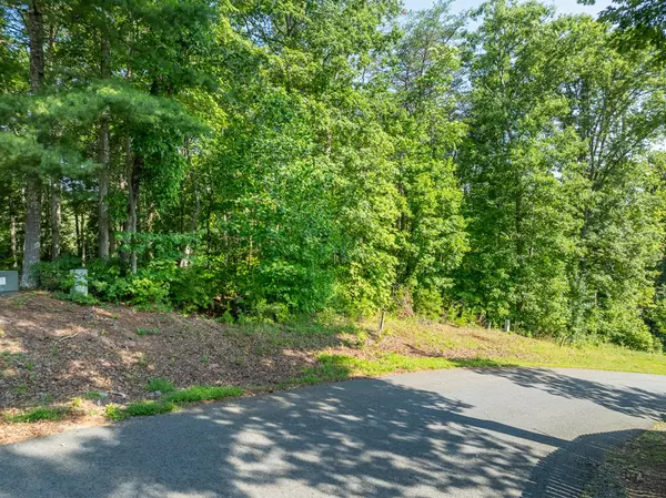 Blue Ridge, GA 30513,Lot 34 Winfield Circle