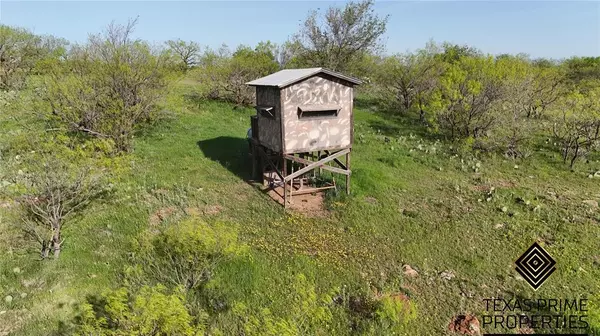 Throckmorton, TX 76483,333 Acres County Road 414