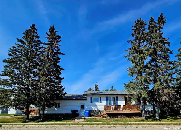 219 Carl AVENUE E, Langenburg, SK S0A 2A0