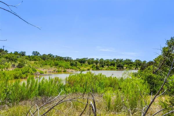 Possum Kingdom Lake, TX 76449,910 Cinnamon Teal