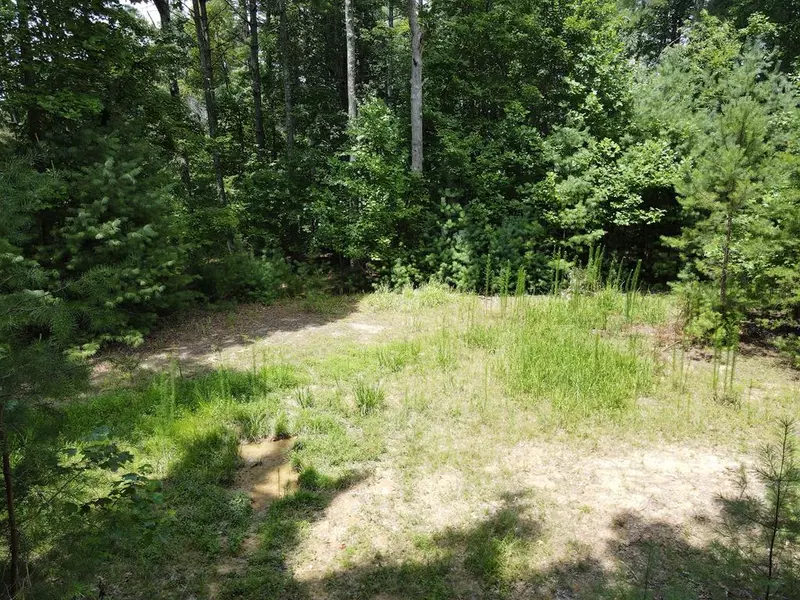 Lot 3 Scouts Overlook Lane, Morganton, GA 30560