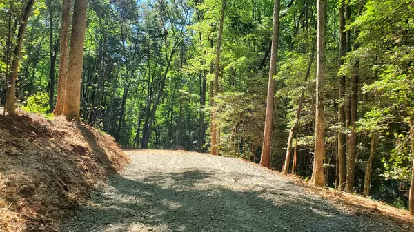 Ellijay, GA 30540,Lot 11 Old Miller Rock Road