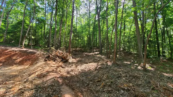 Ellijay, GA 30540,Lot 11 Old Miller Rock Road