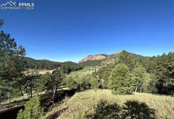 Cripple Creek, CO 80813,419 Midday CIR