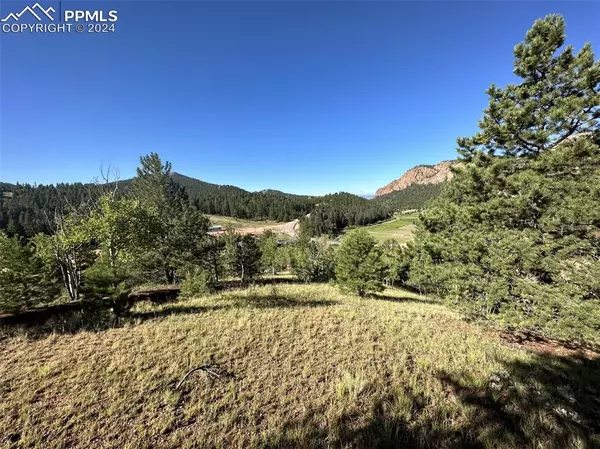 Cripple Creek, CO 80813,419 Midday CIR