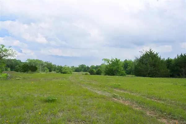 Forestburg, TX 76239,TBD Dye Mound