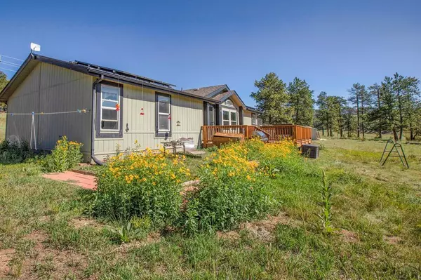 464 Hackamore Dr, Florissant, CO 80816