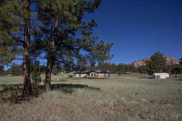 Florissant, CO 80816,464 Hackamore Dr