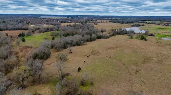 Ben Wheeler, TX 75754,TBD Tract 11 CR 4503