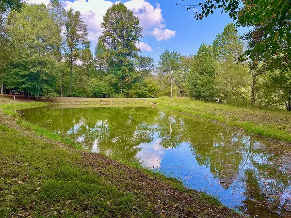 Tract 1 Willow Ridge, Warne, NC 28909