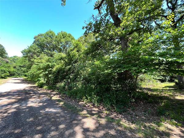 Payne Springs, TX 75156,0 Hidalgo Loop