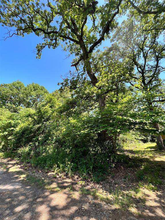 Payne Springs, TX 75156,0 Hidalgo Loop