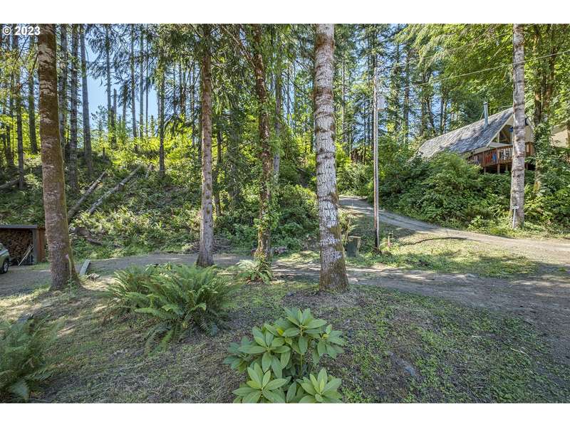 North Shore DR, Birkenfeld, OR 97016