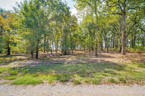 Quinlan, TX 75474,Lot 30 Vintage Shore Drive