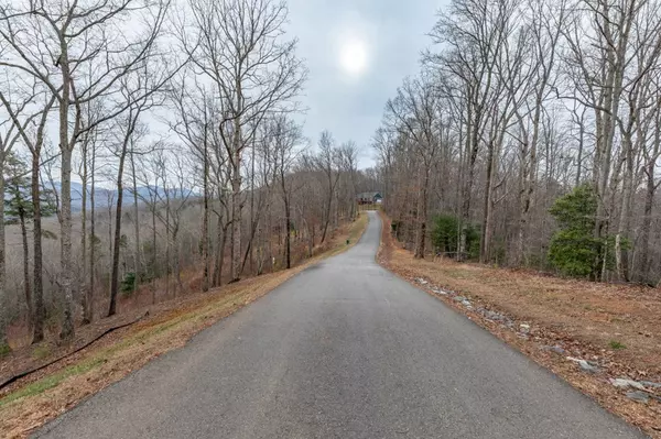 Blairsville, GA 30512,Lot 133 Blackburn Way