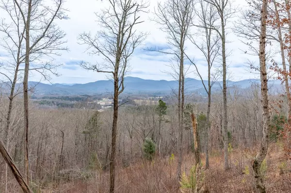 Blairsville, GA 30512,Lot 133 Blackburn Way