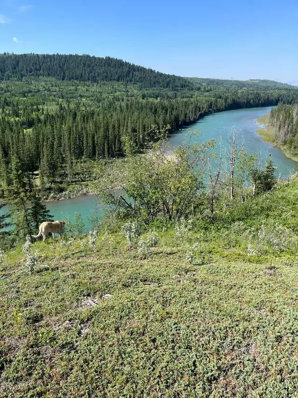 Rural Rocky View County, AB T4C2E9,54111 twp 263