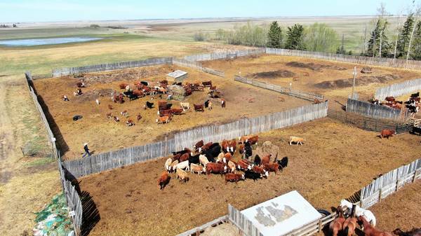 Rural Paintearth No. 18 County Of, AB T0X0X0,35532 Range Road 141 Range