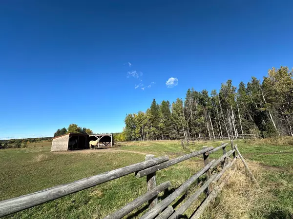 Rural Red Deer County, AB T0J 2K0,36142 Range Road 44