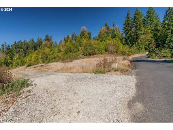 Rose Valley, WA 98626,117 Witherbee RD