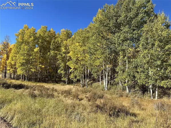 155 Granite LN, Cripple Creek, CO 80813