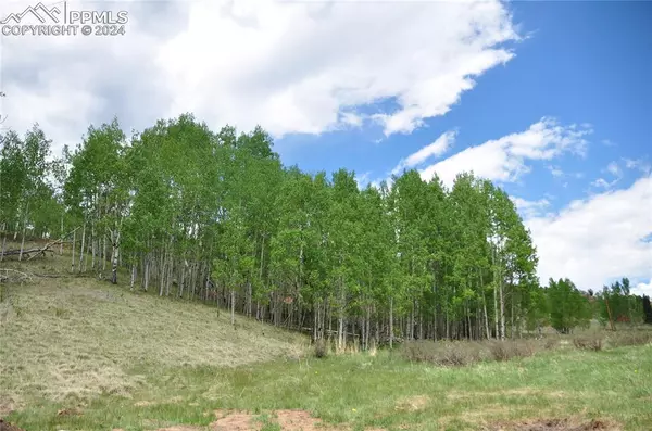 Cripple Creek, CO 80813,155 Granite LN