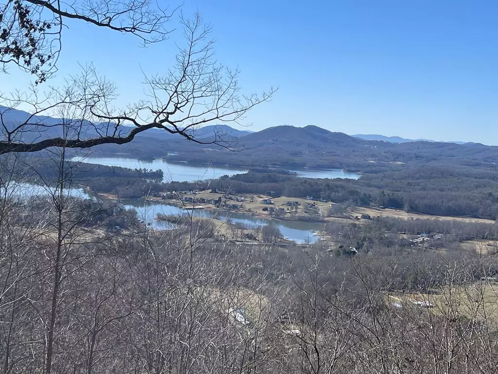 Hayesville, NC 28904,Lot #96 Eagles View Hollow