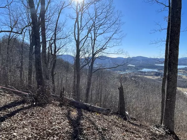 Hayesville, NC 28904,Lot #96 Eagles View Hollow