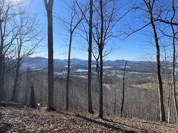 Hayesville, NC 28904,Lot #96 Eagles View Hollow