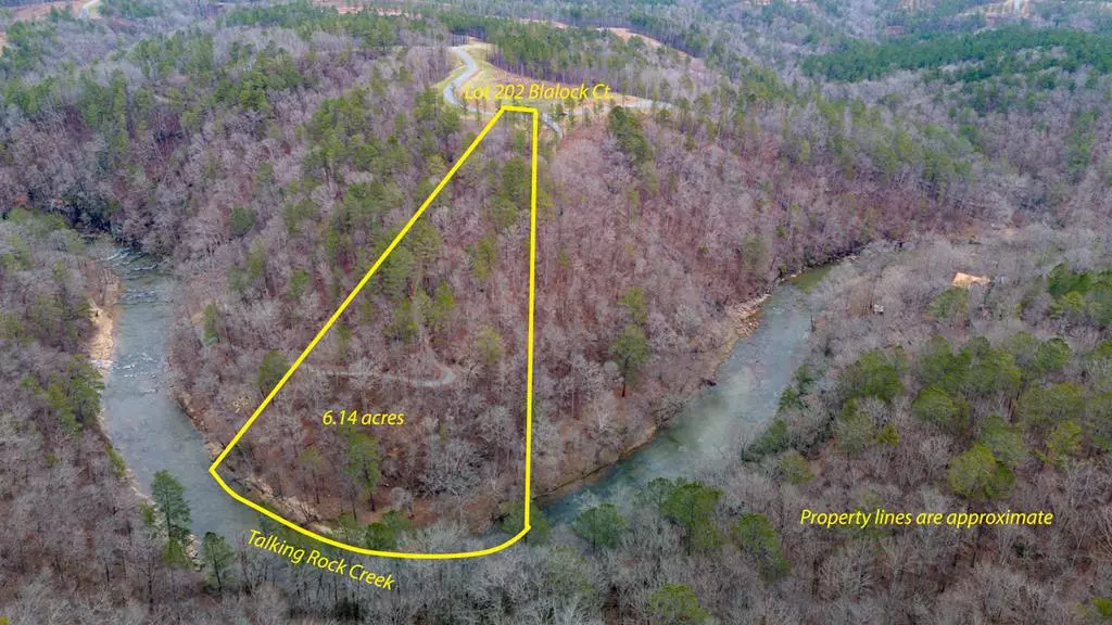 Lot 202 Blalock Mountain Court, Ellijay, GA 30540