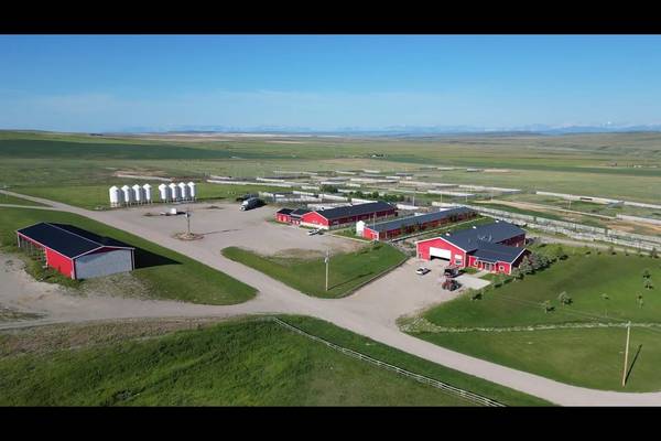 On Hwy 501, Rural Cardston County, AB T0K0K0