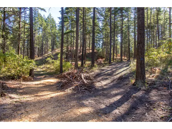 Paradise Ridge #3, Mosier, OR 97040