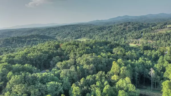 Blue Ridge, GA 30513,Lot 51 River Ridge Road