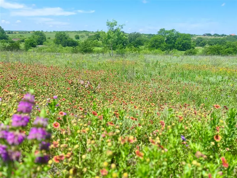 Lot69 Greenwood Road, Comanche, TX 76442