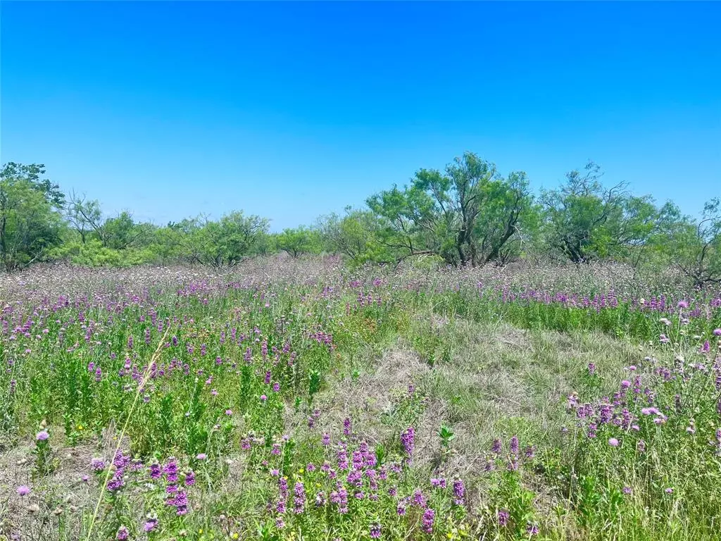 Comanche, TX 76442,lot59 Comanche Lake Road