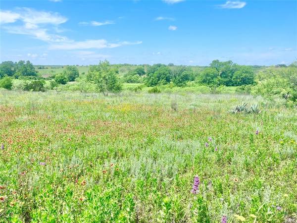 Comanche, TX 76442,Lot69 Greenwood Road