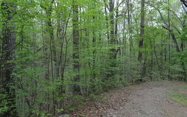 Brasstown, NC 28902,LOT 12 North Ridge Trail