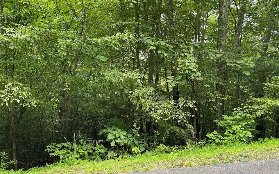 Lot 7 Bear Trail, Hiawassee, GA 30546