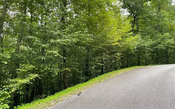 Hiawassee, GA 30546,Lot 7 Bear Trail