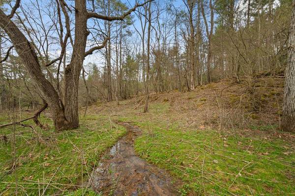 TBD Cole Mountain  Rd, Hiwassee, VA 24347