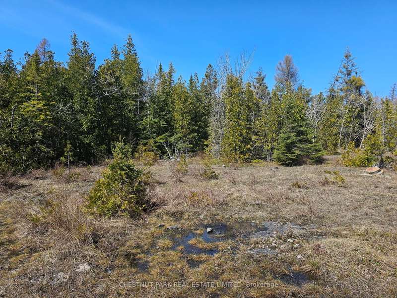 LOT 2 SPRY RD, Northern Bruce Peninsula, ON N0H 1W0