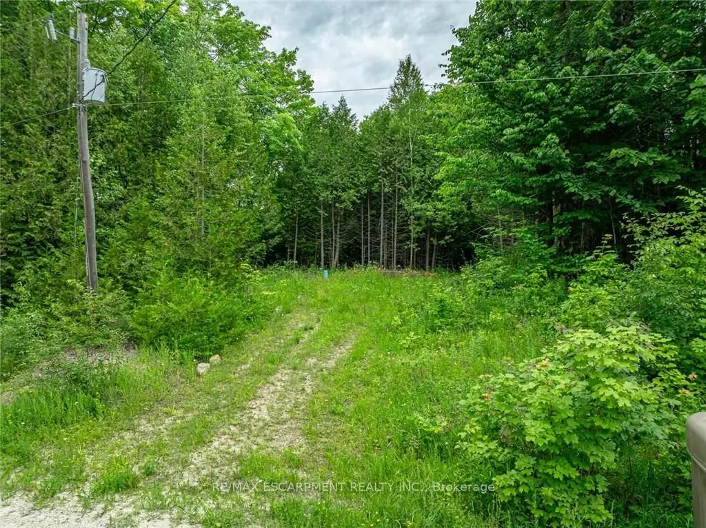 Grey Highlands, ON N0C 1M0,LOT 31 8th Concession B N/A