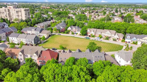 St. Catharines, ON L2S 4C8,1 Tulip Tree Common ST