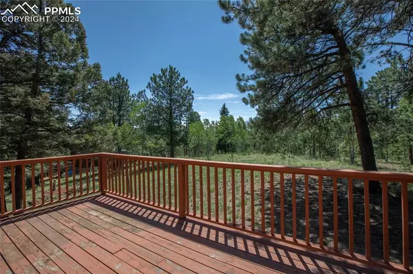 Divide, CO 80814,928 Spring Valley DR