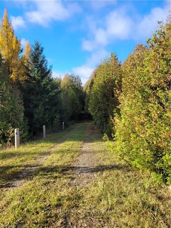 West Grey, ON N0C 1H0,88 PT Lot Highway 10 N/A