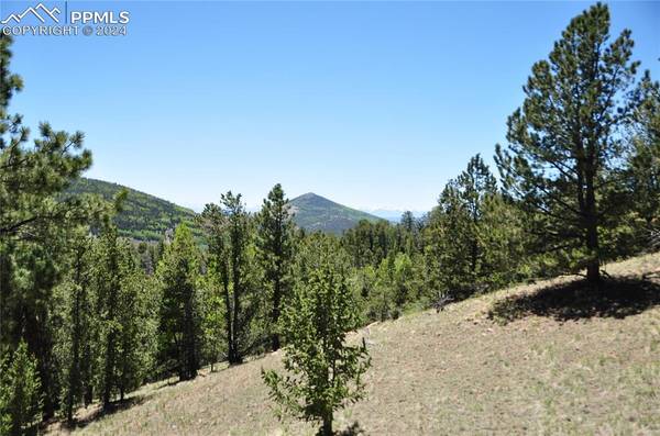 1429 Fairview DR, Cripple Creek, CO 80813